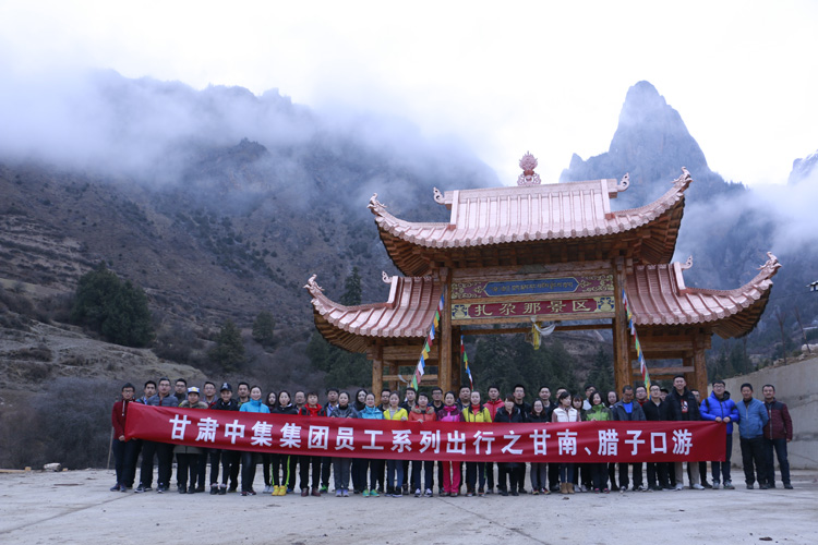 ���C�м����F�T��ϵ�г���֮�������D�ӿ���